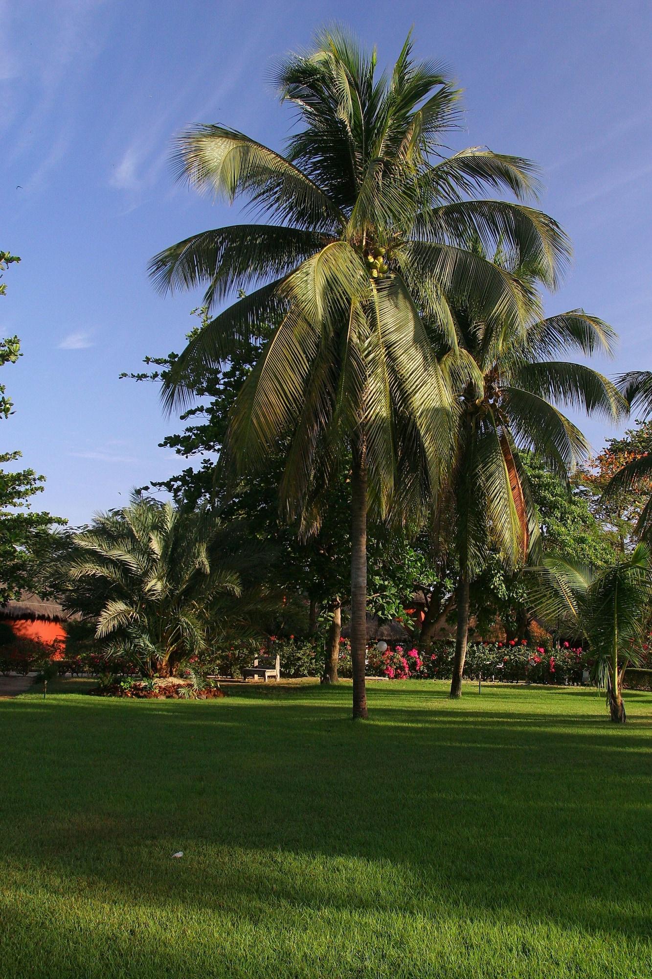 Hotel Royam Saly Portudal Luaran gambar