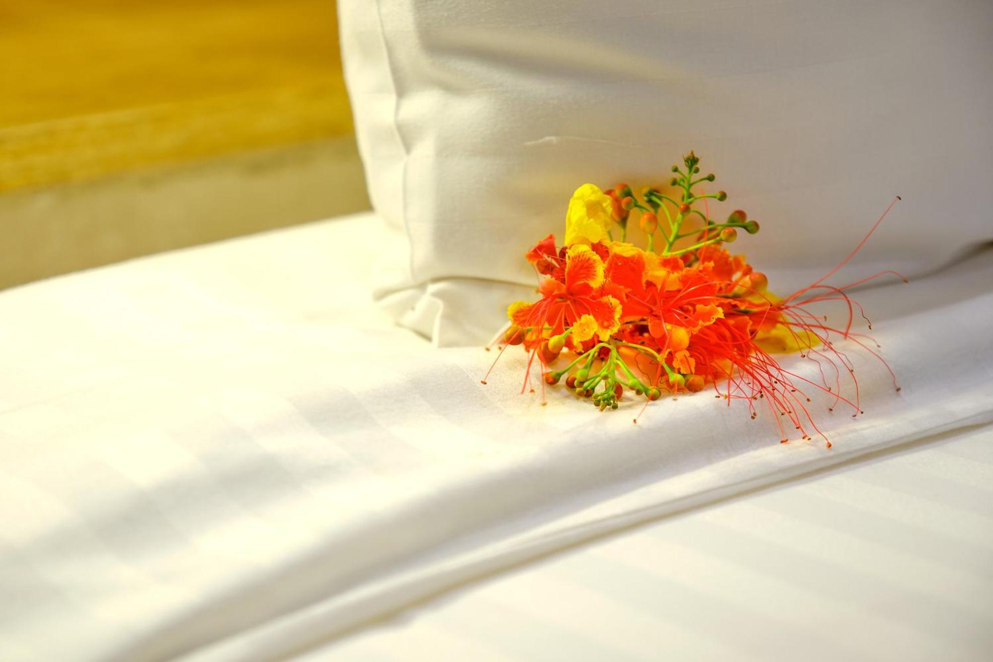 Hotel Royam Saly Portudal Luaran gambar